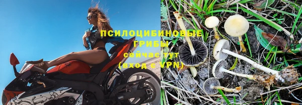 стаф Горно-Алтайск