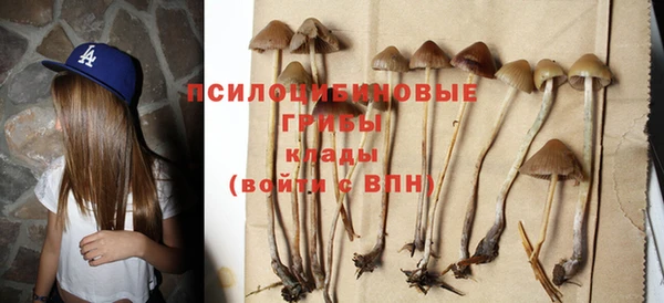 мяу мяу кристалл Гусев