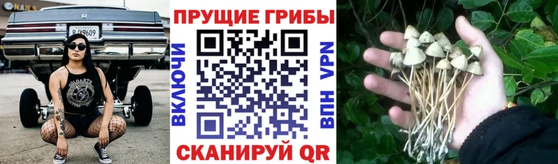 купить наркотик Армавир Псилоцибиновые грибы ЛСД